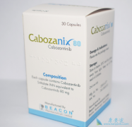 ���������ڹ�����������