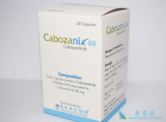 ����������ʲô����