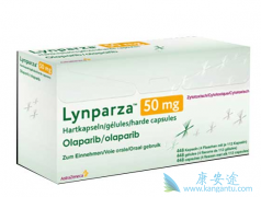 ����������Ч����