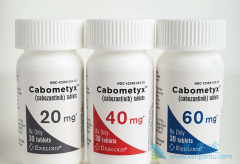 ��������Cabozanix˵����