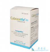 ���������Ч������