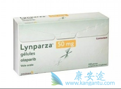 �԰���������ʲô�洦