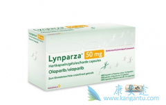 �������������BRCAͻ���ҩ��