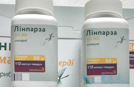 胰腺癌能吃奥拉帕尼吗 胰腺癌能吃奥拉帕尼吗