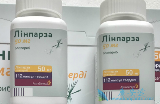 奥拉帕尼的主要功效是什么 奥拉帕尼的主要功效是什么