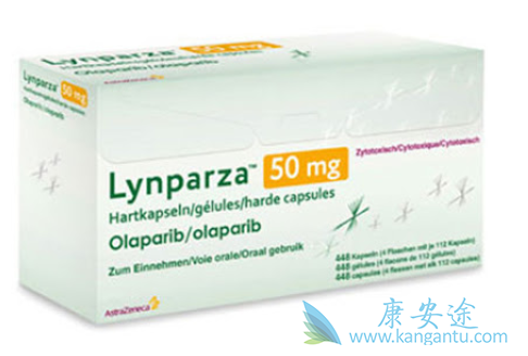 奥拉帕尼通过什么发挥作用 奥拉帕尼通过什么发挥作用