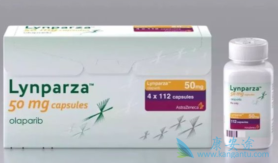 奥拉帕尼可以治疗哪种胰腺癌 奥拉帕尼可以治疗哪种胰腺癌