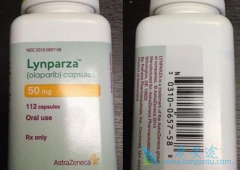 ����������ʲôǱ��