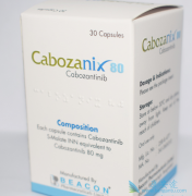 ���������Ԥ��Ч�����