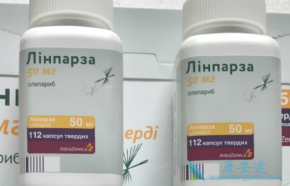 奥拉帕尼对未分化卵巢癌有效吗 奥拉帕尼对未分化卵巢癌有效吗