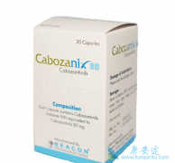 ��������������������������ĸ������ڳ�