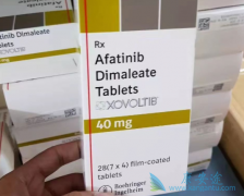 ������������ȷ�İ�ȫ��