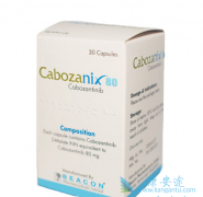 �ձ�Ѱ�������ڸΰ���ʹ�ÿ����������׼