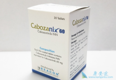 ���Ͽ���������������