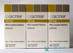 ���������Сϸ���ΰ���Ч��