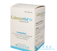 �̿���������������ɿ���