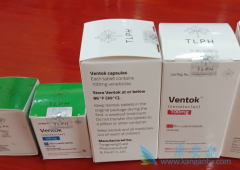 ά���п�������ϸ��Ѫ����