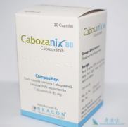 �����������ڰ�ο��