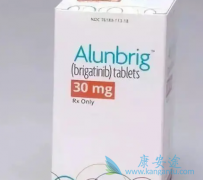 ���������ʵ������