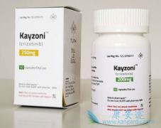 ���������������ڼ��������