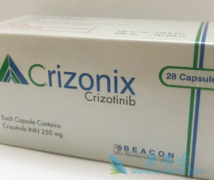 ����ĸϸ���������������Ӧģʽ