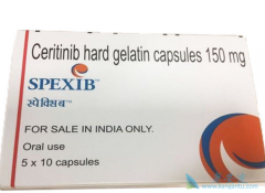 ���������ȫ����­�ڻ���