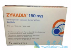 ����������ʲô������