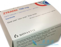 ��������һ�����Ƶ��о�����