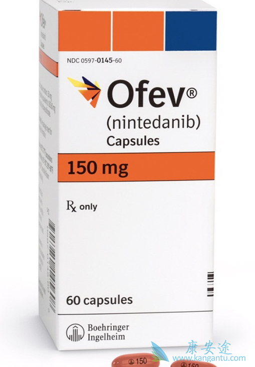 尼达尼布对血管生成三维形态证据的影响 尼达尼布对血管生成三维形态证据的影响