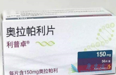 ��������/������������ʵ�����е�ʹ��