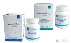 �ַ�����/������İе����VEGFR��