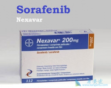 ��������/�༪����VEGFR�е���Ч