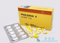 �ַ�����/���������Ч�ԺͰ�ȫ��