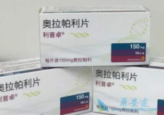 ��������/���������Զ���ԭ��CCϸ��ϵ���ٴ�ǰ����