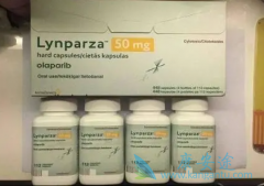 ��������/������������ڻ������Ʊ�׼����Խ��