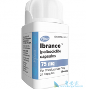 ��������/�����µ�������������