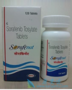 ���������ڸ�ϸ�����е�����������/����������ҩ