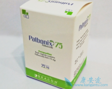 ��������/����������������