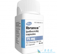 ��������/�߰�������ϸ����������