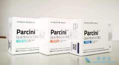 ��������/�߰������Էʴ�ϸ���ѿ�������������