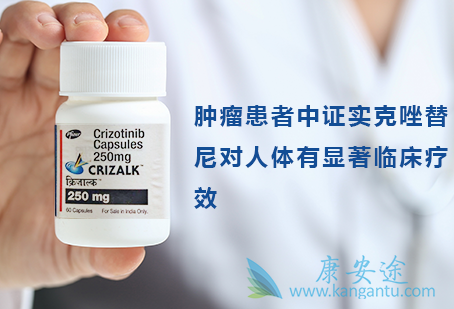 克唑替尼胶囊 克唑替尼胶囊
