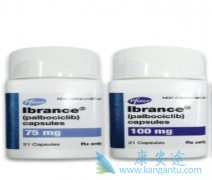 ������/�����������ƶ��Խ�����