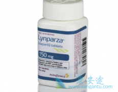 ������׿/����������ƣ������