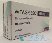 克服泰瑞沙/奥西替尼耐药性的治疗策略