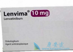 乐伐替尼/仑伐替尼联用替莫唑胺