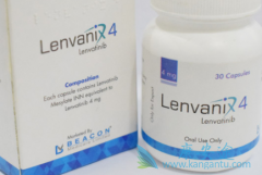 接受乐卫玛/乐伐替尼治疗患者的生存期