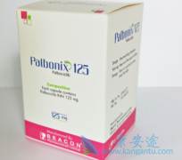 帕博西尼/哌柏西利对ER阳性乳腺癌的治疗作