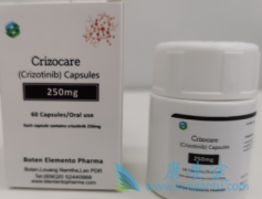 影响赛可瑞/克唑替尼疗效的临床因素