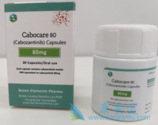 卡博替尼(Cabometyx)与免疫组合的潜力