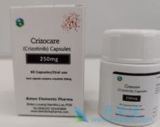 克唑替尼(Crizotinib)的代谢概况